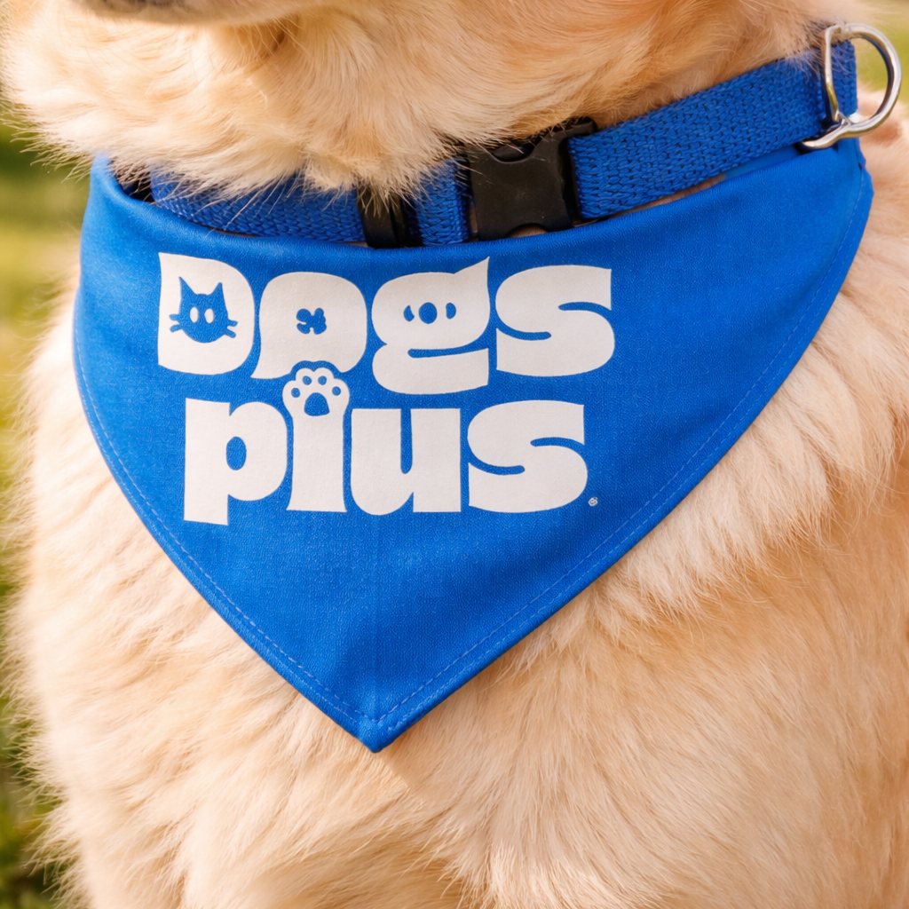 Bandana Chien Réfléchissant Polyester Personnalisable