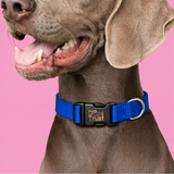 Collier Chien Ajustable Polyester Personnalisable