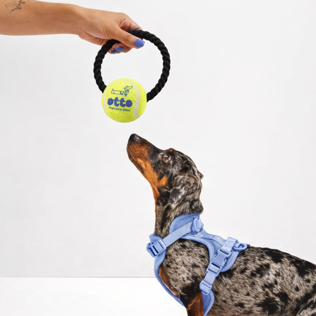Jouet pour Chien Coton Personnalisable