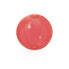 Ballon de Plage Gonflable PVC Personnalisable