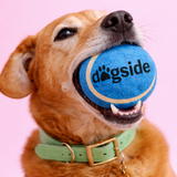 Balle Caoutchouc Chien Personnalisable